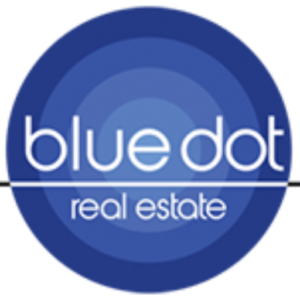 Blue Dot Real Estate REO & BPO Services